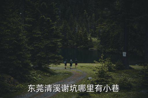 東莞清溪謝坑哪里有小巷
