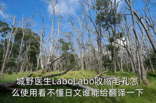 城野醫生LaboLabo收縮毛孔怎么使用看不懂日文誰能給翻譯一下