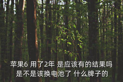 蘋果6 用了2年 是應(yīng)該有的結(jié)果嗎 是不是該換電池了 什么牌子的