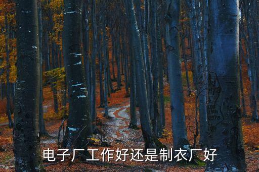 電子廠工作好還是制衣廠好
