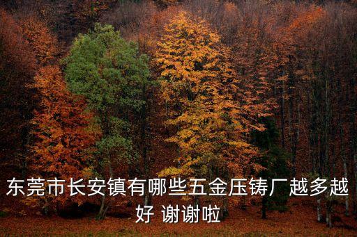 廣東東莞安冉壓鑄廠，東莞有哪些大點的壓鑄廠