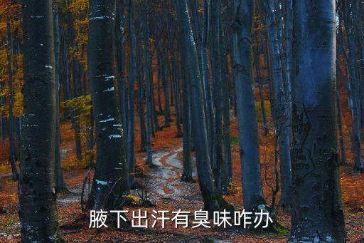 腋下出汗多有異味怎么辦，腋下出汗有臭味咋辦