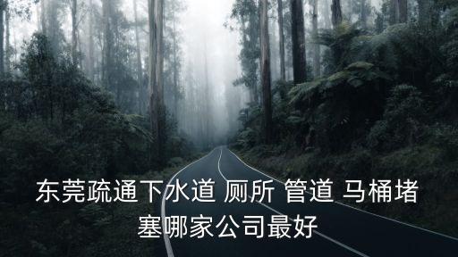東莞疏通下水道 廁所 管道 馬桶堵塞哪家公司最好