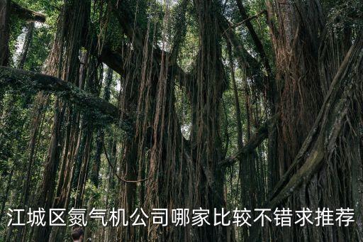 江城區(qū)氮氣機公司哪家比較不錯求推薦
