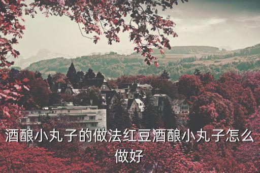 酒釀小丸子的做法紅豆酒釀小丸子怎么做好