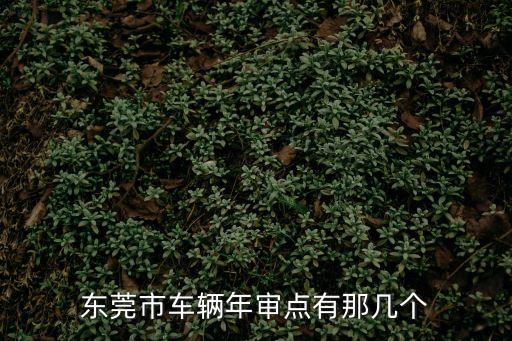 東莞石排車輛檢測站，我是石排的東莞市的汽車環保標志可以在任何一個汽車檢測站拿