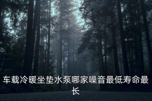 東莞自來水管道公司，車載冷暖坐墊水泵哪家噪音最低壽命最長
