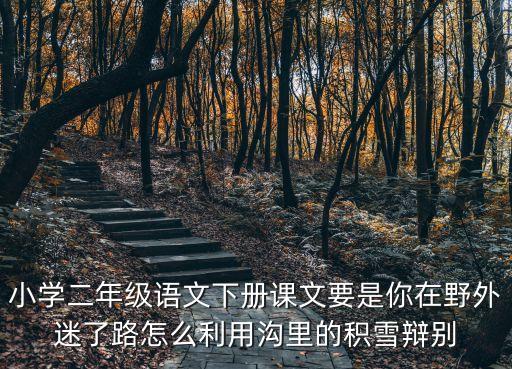 要是你在野外迷了路，小學二年級語文下冊課文要是你在野外迷了路怎么利用溝里的積雪辯別