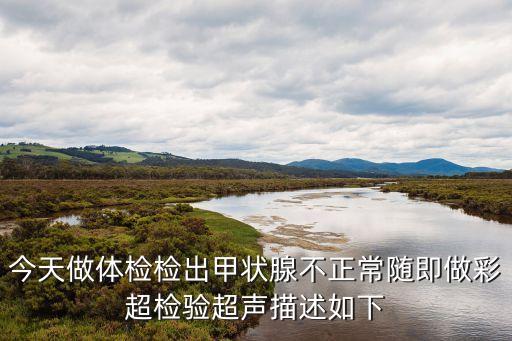今天做體檢檢出甲狀腺不正常隨即做彩超檢驗(yàn)超聲描述如下