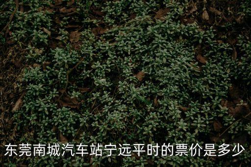 東莞南城汽車站寧遠平時的票價是多少