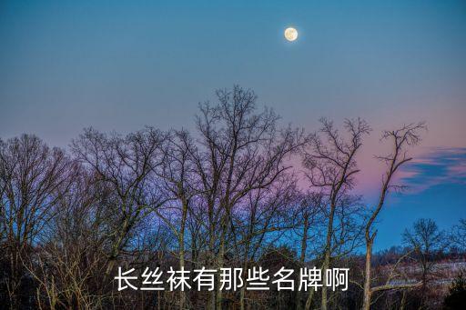 長絲襪有那些名牌啊