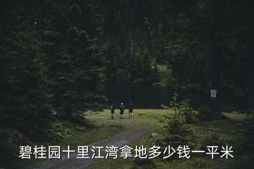 碧桂園十里江灣拿地多少錢一平米
