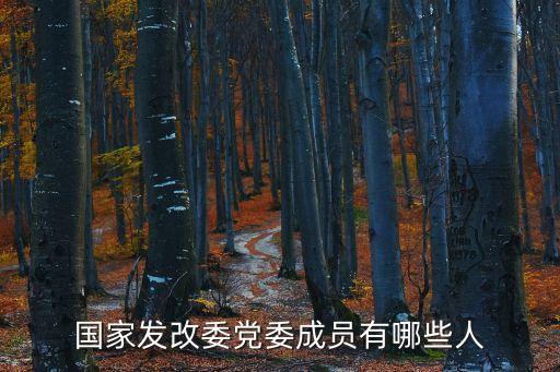 國家發改委黨委成員有哪些人