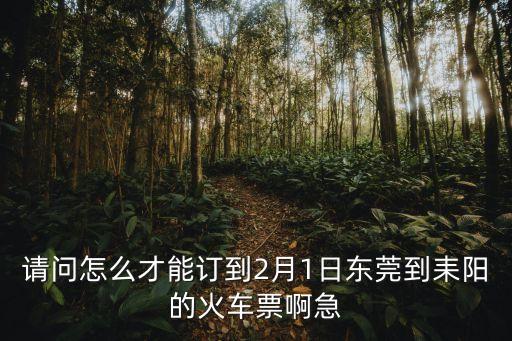 東莞至耒陽的火車票，東莞東站到耒陽火車票價
