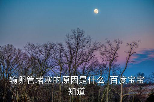 輸卵管堵塞是什么原因造成的，輸卵管不通暢的原因是什么