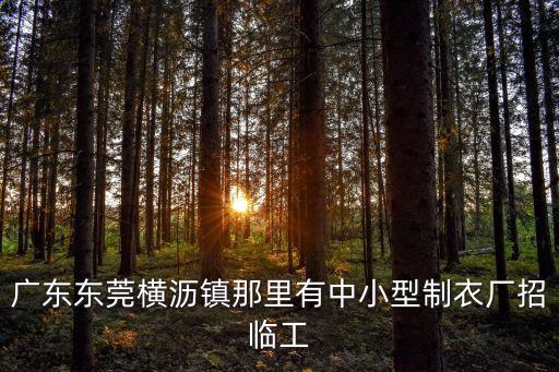 廣東東莞橫瀝鎮(zhèn)那里有中小型制衣廠招臨工