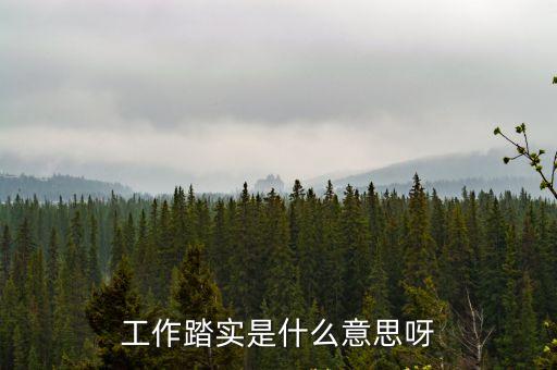 工作踏實是什么意思呀