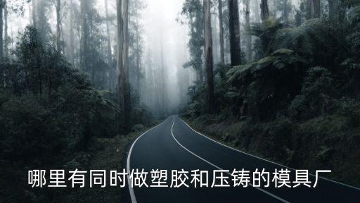 哪里有同時做塑膠和壓鑄的模具廠