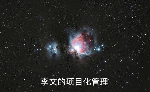 李文的項(xiàng)目化管理