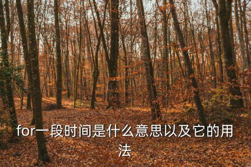 for加一段時(shí)間，for加一段時(shí)間