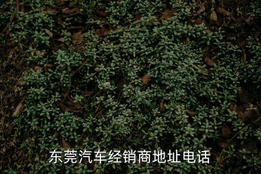 東莞汽車經(jīng)銷商地址電話
