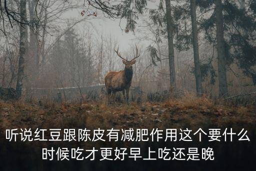 陳皮紅豆沙，陳皮紅豆沙怎么做