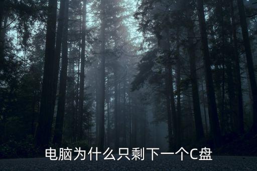 電腦為什么只剩下一個C盤
