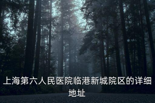 上海市臨港六院什么時(shí)候解封，上海第六人民醫(yī)院臨港分院可以打胎嗎