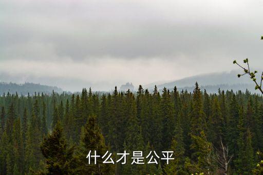什么才是公平