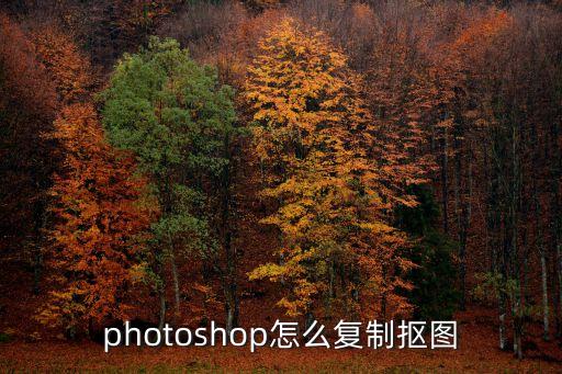 photoshop怎么復(fù)制摳圖