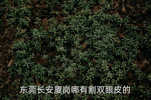 東莞正規(guī)割雙眼皮，東莞長(zhǎng)安廈崗哪有割雙眼皮的