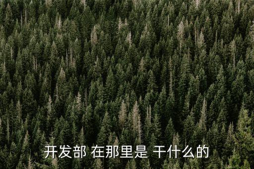 開發(fā)部 在那里是 干什么的
