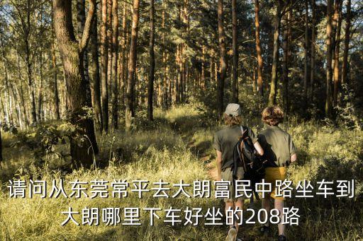 請問從東莞常平去大朗富民中路坐車到大朗哪里下車好坐的208路
