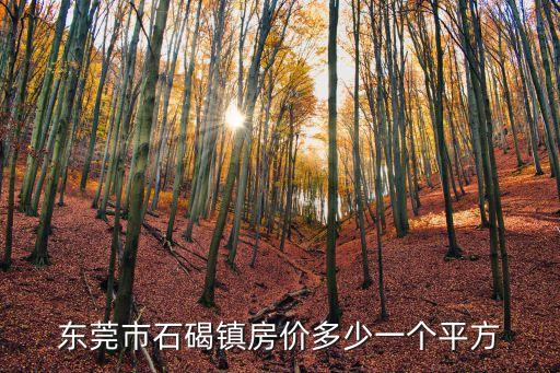東莞市石碣鎮(zhèn)0首付房價，東莞市石碣鎮(zhèn)的房價大概是多少