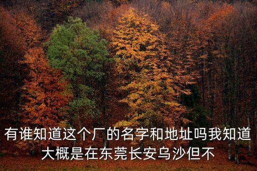 東莞恒僑模具有限公司，哪里有同時做塑膠和壓鑄的模具廠