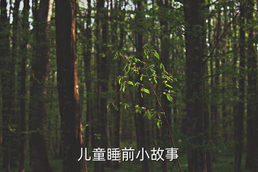 寶寶睡前小故事，2歲睡前故事哪些比較有助于睡眠的求答案