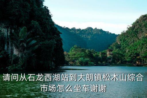 請問從石龍西湖站到大朗鎮松木山綜合市場怎么坐車謝謝