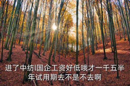 進(jìn)了中紡l國企工資好低哦才一千五半年試用期去不是不去啊
