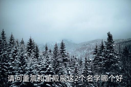 請問董震和董殿辰這2個名字哪個好