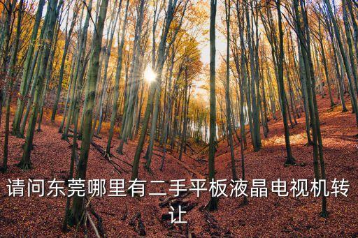 請問東莞哪里有二手平板液晶電視機轉讓
