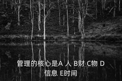 管理的核心是，管理的核心是 A 決策 B 領導C 激勵 D處理人際關系