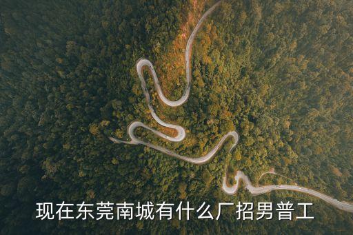 現在東莞南城有什么廠招男普工