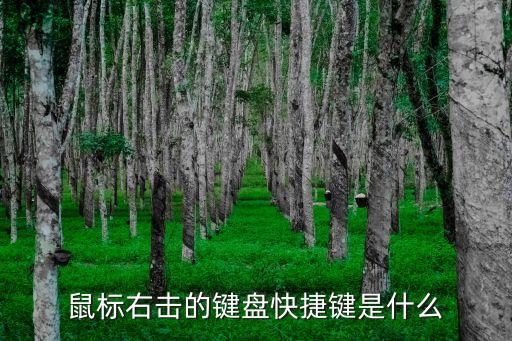 鼠標右鍵的快捷鍵，鼠標右擊的鍵盤快捷鍵是什么