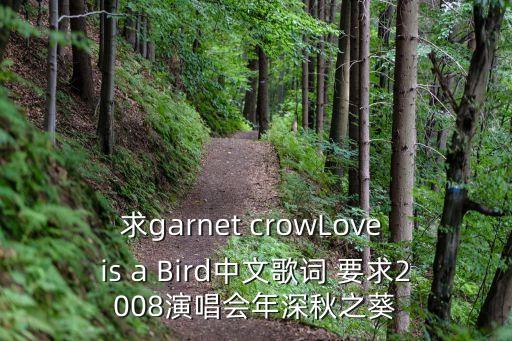 求garnet crowLove is a Bird中文歌詞 要求2008演唱會年深秋之葵