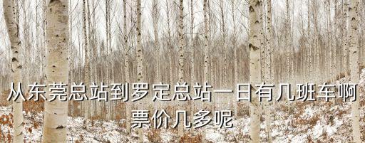 東莞總站到羅定時刻表，東莞總站到羅定總站幾點有車