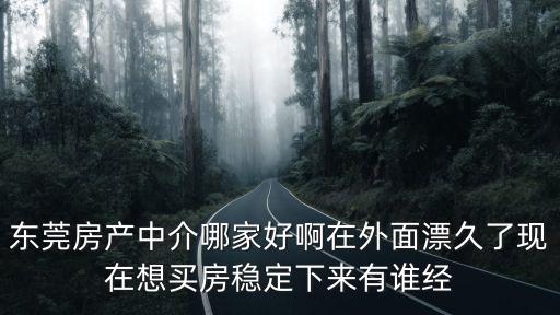 東莞房產中介哪家好啊在外面漂久了現在想買房穩定下來有誰經