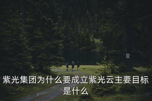 紫光集團(tuán)為什么要成立紫光云主要目標(biāo)是什么