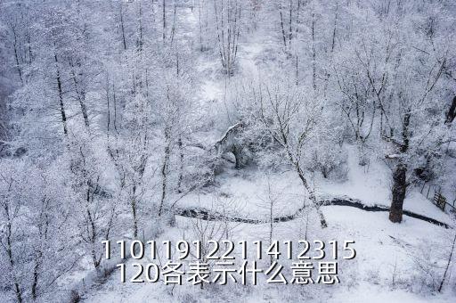 11011912211412315120各表示什么意思