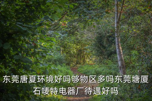 東莞瑞舟實業(yè)，東莞市謝崗鎮(zhèn)窯山工業(yè)區(qū)江海斜對面是什么公司