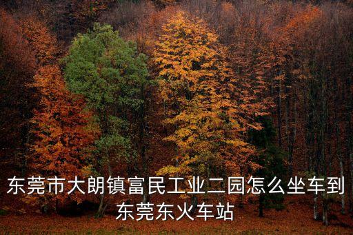 東莞市大朗鎮富民工業二園怎么坐車到東莞東火車站